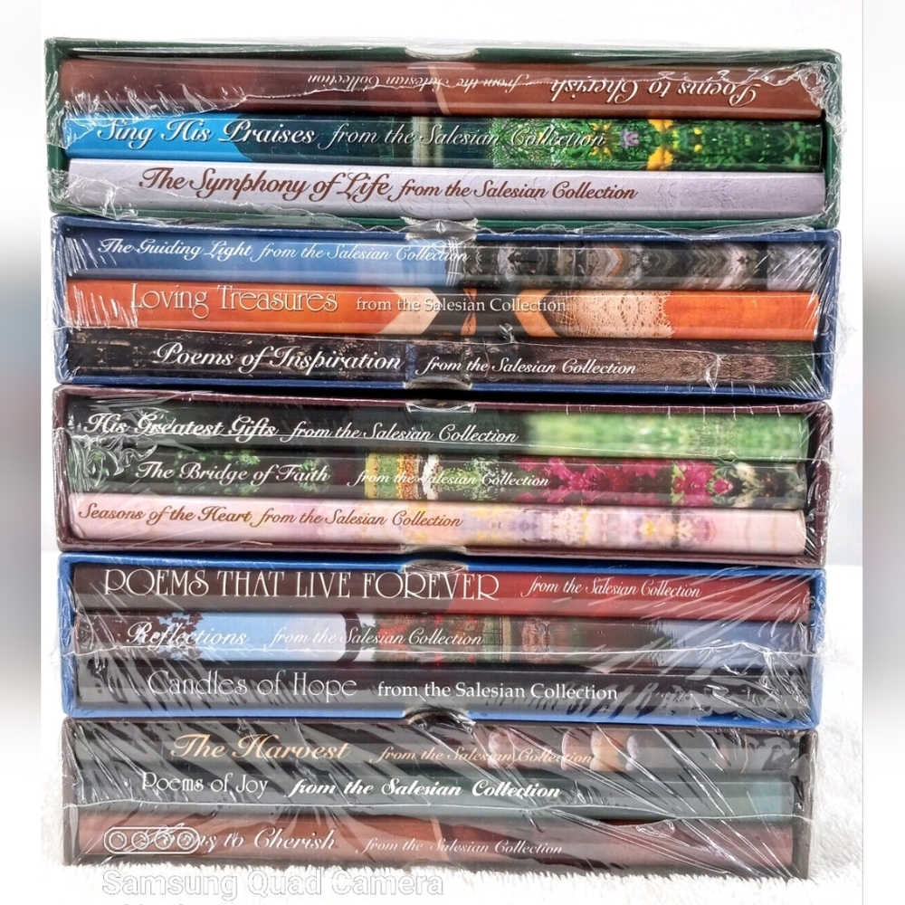 The Salesian Trilogy Book Collection - Picture 3 of 7